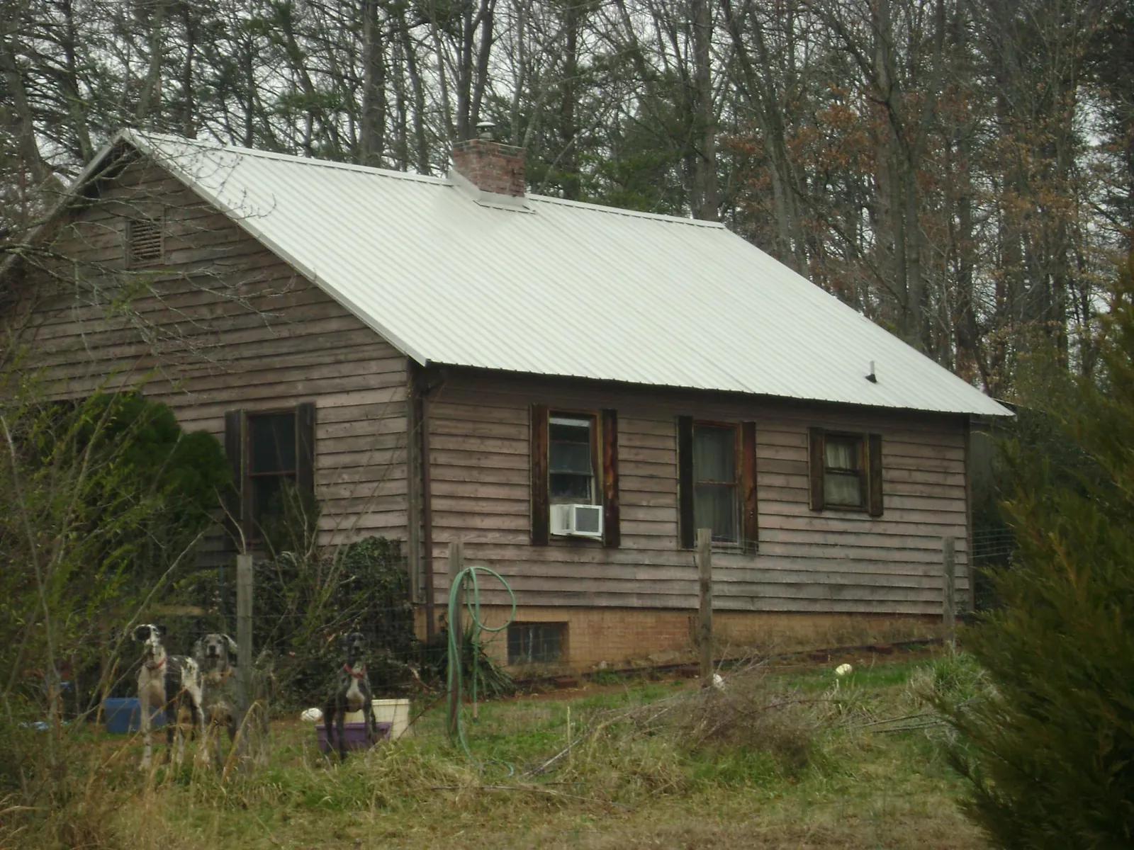 White metal roof on an old wood sided farmhouse, from a Asphalt Shingle Roof Repair job in Ecru